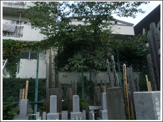長安寺墓地・墓苑のご紹介